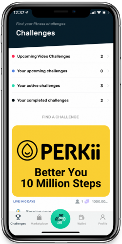 PERKii Better You PUML Challenge Screen